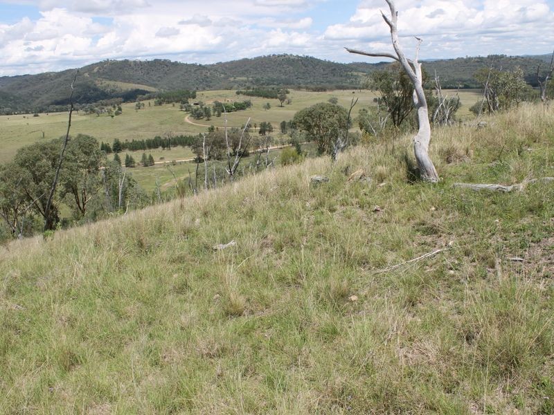 3894 Rocky Creek Road, Bonshaw NSW 2361