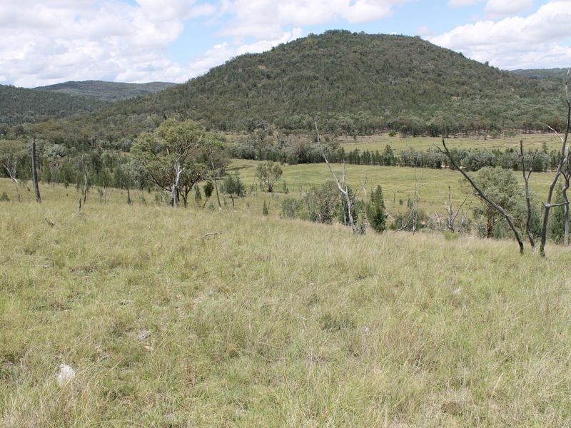 3894 Rocky Creek Road, Bonshaw NSW 2361