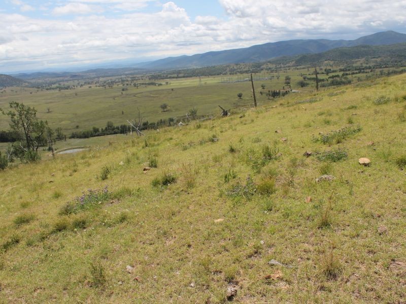 3894 Rocky Creek Road, Bonshaw NSW 2361