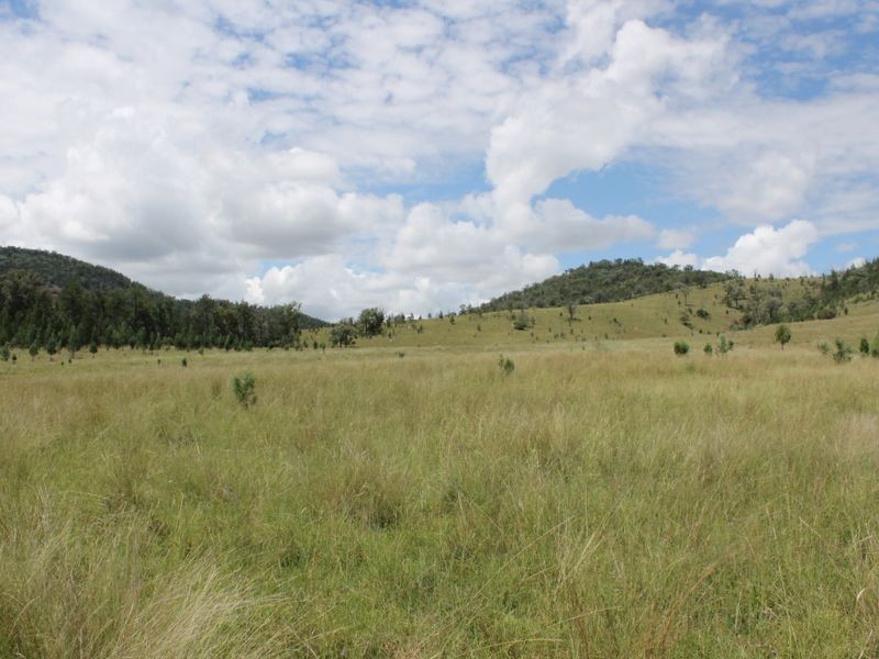 3894 Rocky Creek Road, Bonshaw NSW 2361