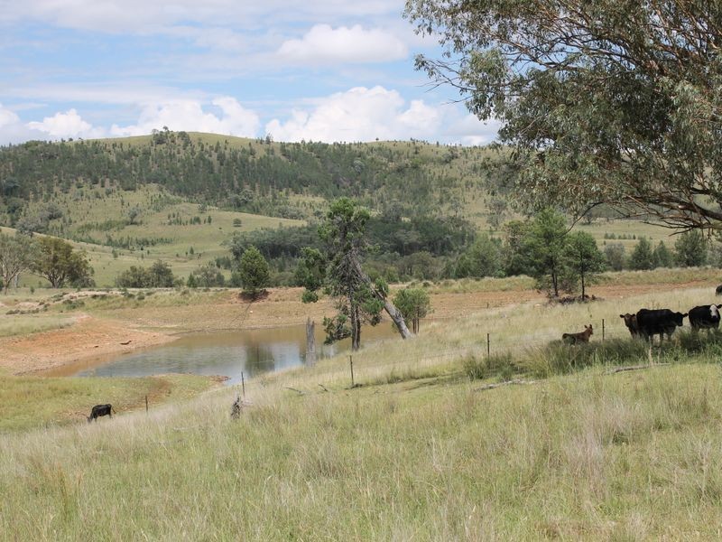 3894 Rocky Creek Road, Bonshaw NSW 2361