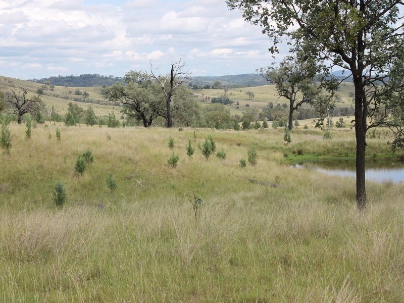 3894 Rocky Creek Road, Bonshaw NSW 2361