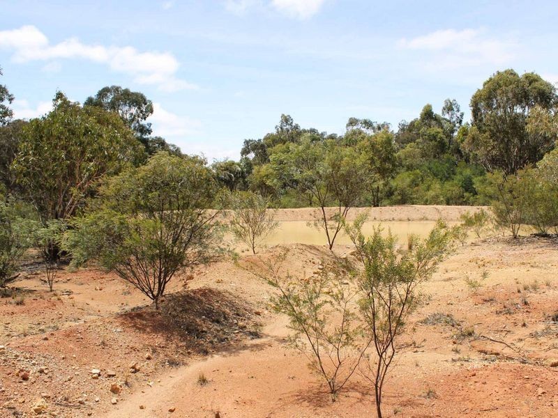 230/753314 Cadell Street, Emmaville NSW 2371