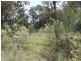 230/753314 Cadell Street, Emmaville NSW 2371