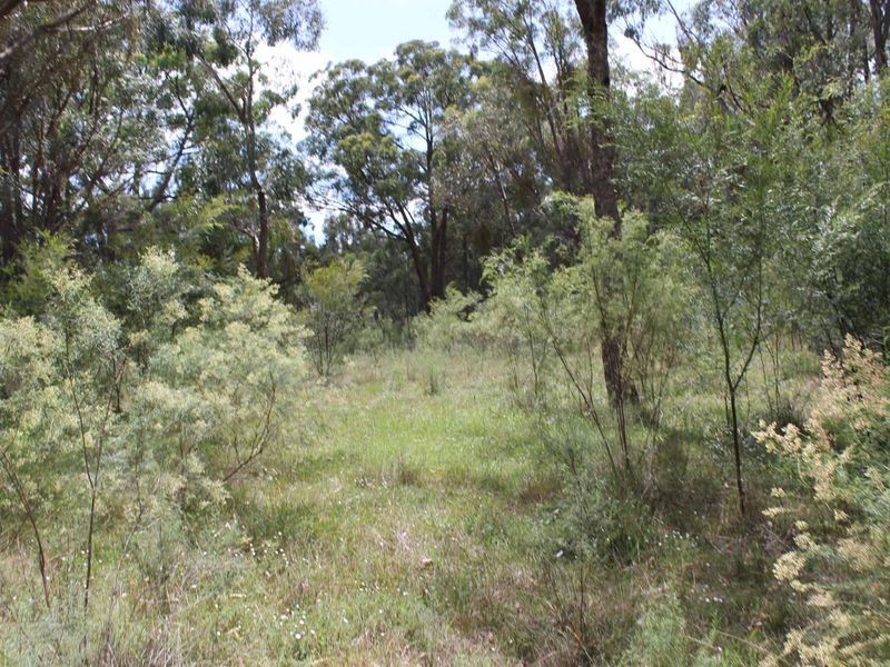 230/753314 Cadell Street, Emmaville NSW 2371