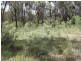 230/753314 Cadell Street, Emmaville NSW 2371