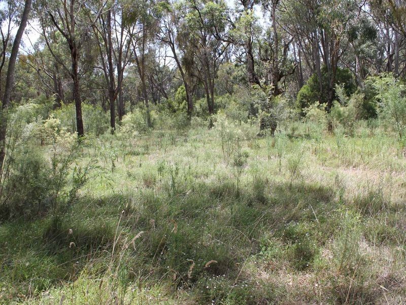 230/753314 Cadell Street, Emmaville NSW 2371