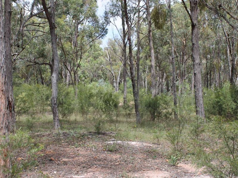 230/753314 Cadell Street, Emmaville NSW 2371