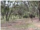 230/753314 Cadell Street, Emmaville NSW 2371