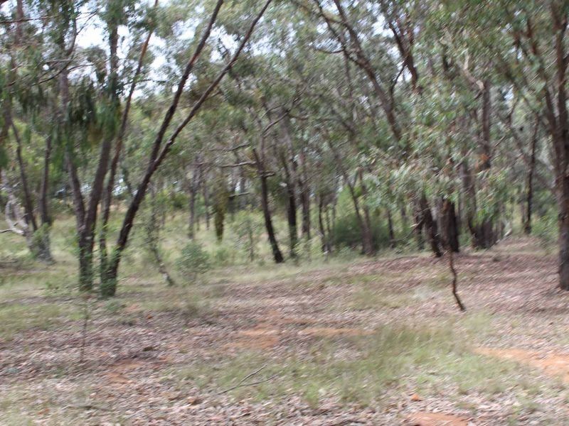 230/753314 Cadell Street, Emmaville NSW 2371