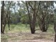 230/753314 Cadell Street, Emmaville NSW 2371