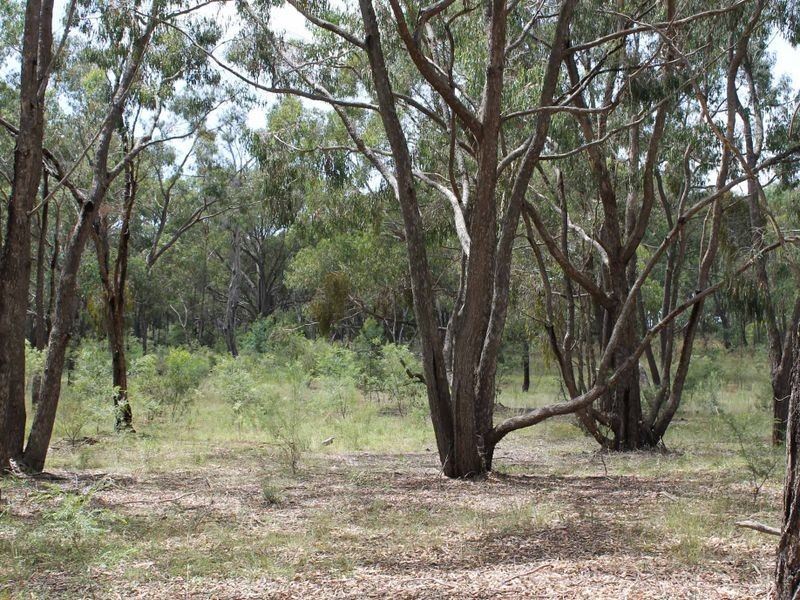 230/753314 Cadell Street, Emmaville NSW 2371