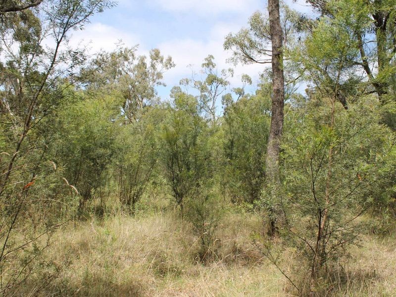 230/753314 Cadell Street, Emmaville NSW 2371