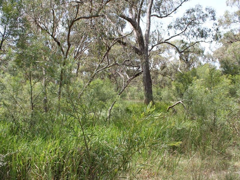 230/753314 Cadell Street, Emmaville NSW 2371