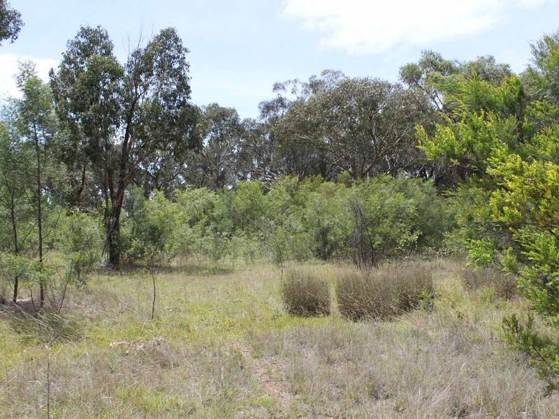 230/753314 Cadell Street, Emmaville NSW 2371
