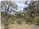 230/753314 Cadell Street, Emmaville NSW 2371