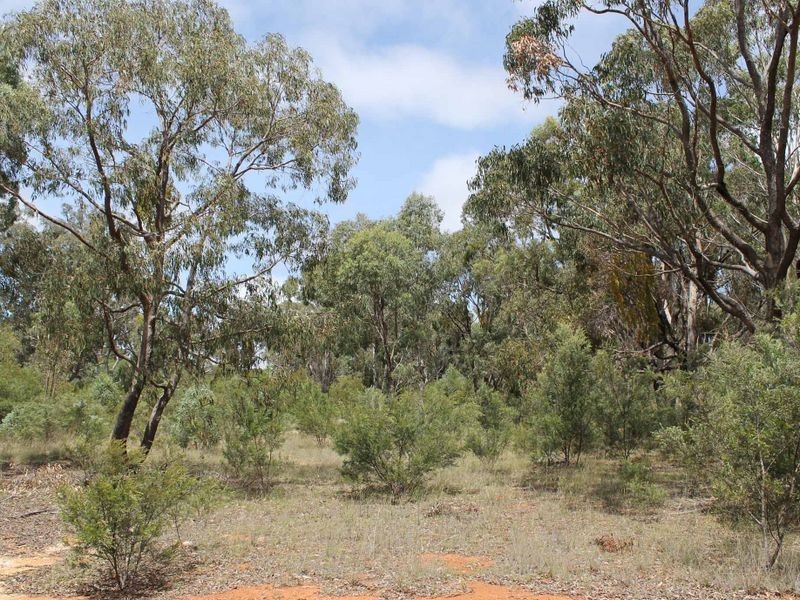 230/753314 Cadell Street, Emmaville NSW 2371