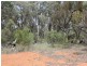 230/753314 Cadell Street, Emmaville NSW 2371