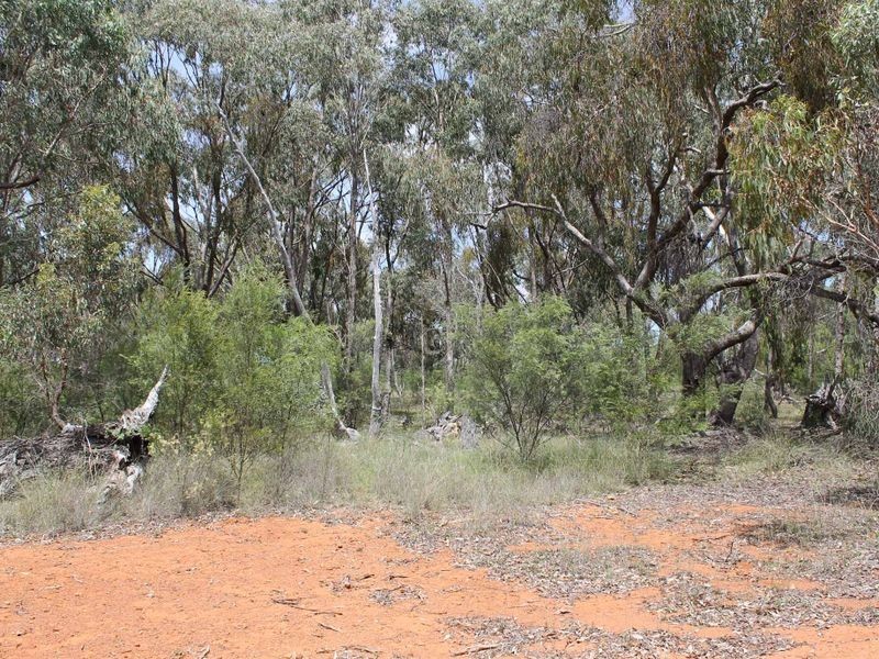 230/753314 Cadell Street, Emmaville NSW 2371