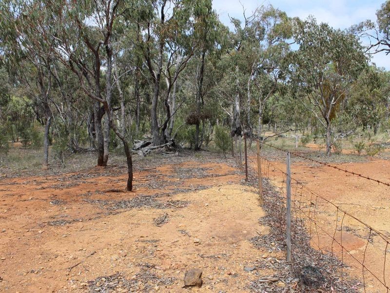 230/753314 Cadell Street, Emmaville NSW 2371