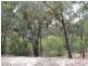 230/753314 Cadell Street, Emmaville NSW 2371
