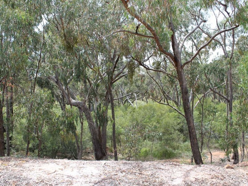 230/753314 Cadell Street, Emmaville NSW 2371