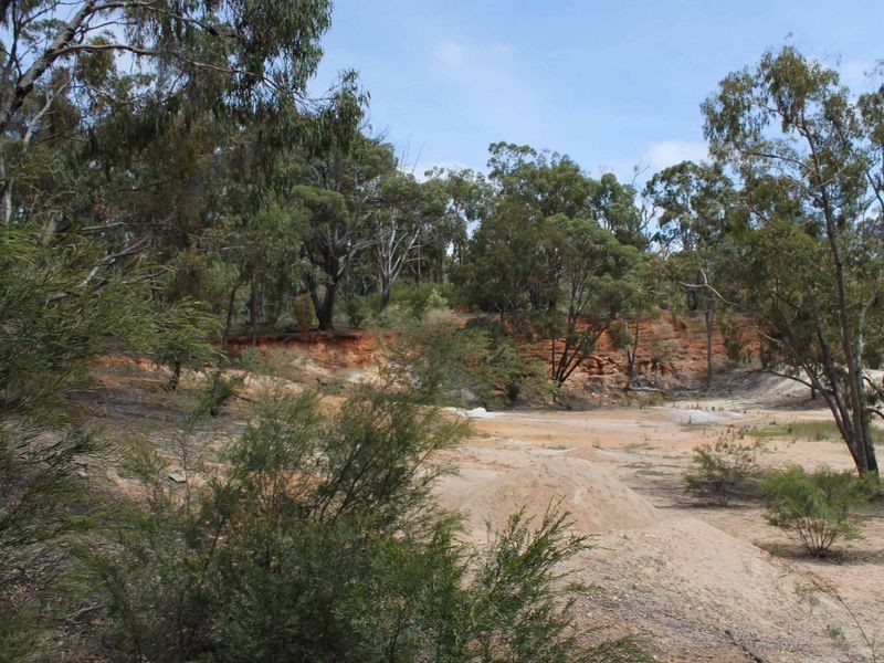 230/753314 Cadell Street, Emmaville NSW 2371