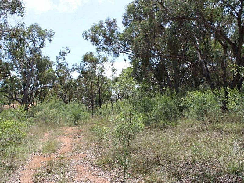 230/753314 Cadell Street, Emmaville NSW 2371