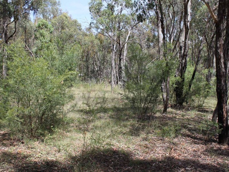 230/753314 Cadell Street, Emmaville NSW 2371
