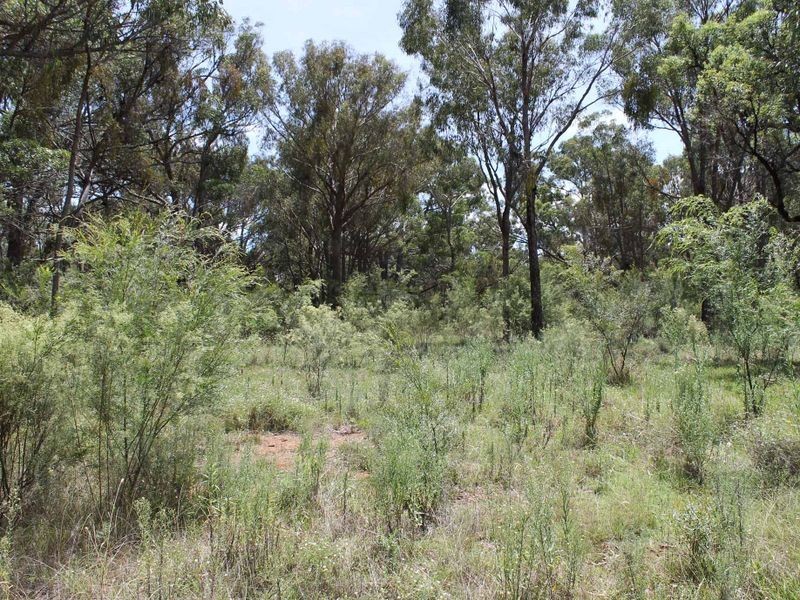 230/753314 Cadell Street, Emmaville NSW 2371