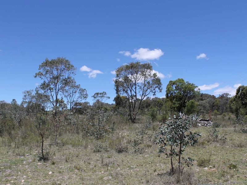 254 Gulf Road, Emmaville NSW 2371