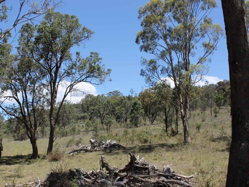 254 Gulf Road, Emmaville NSW 2371