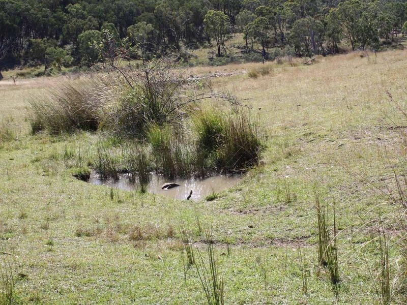 19/702965 Gulf Road, Emmaville NSW 2371