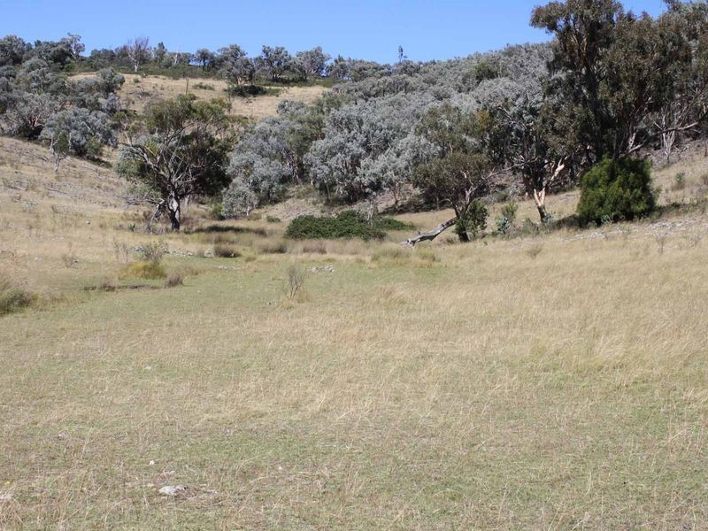 19/702965 Gulf Road, Emmaville NSW 2371