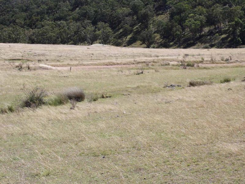 19/702965 Gulf Road, Emmaville NSW 2371