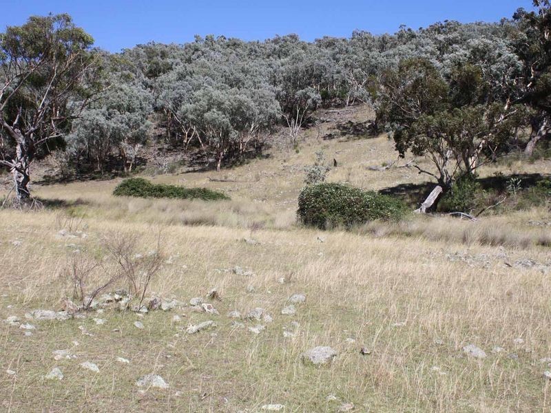 19/702965 Gulf Road, Emmaville NSW 2371