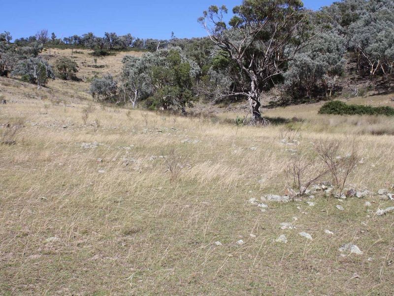 19/702965 Gulf Road, Emmaville NSW 2371