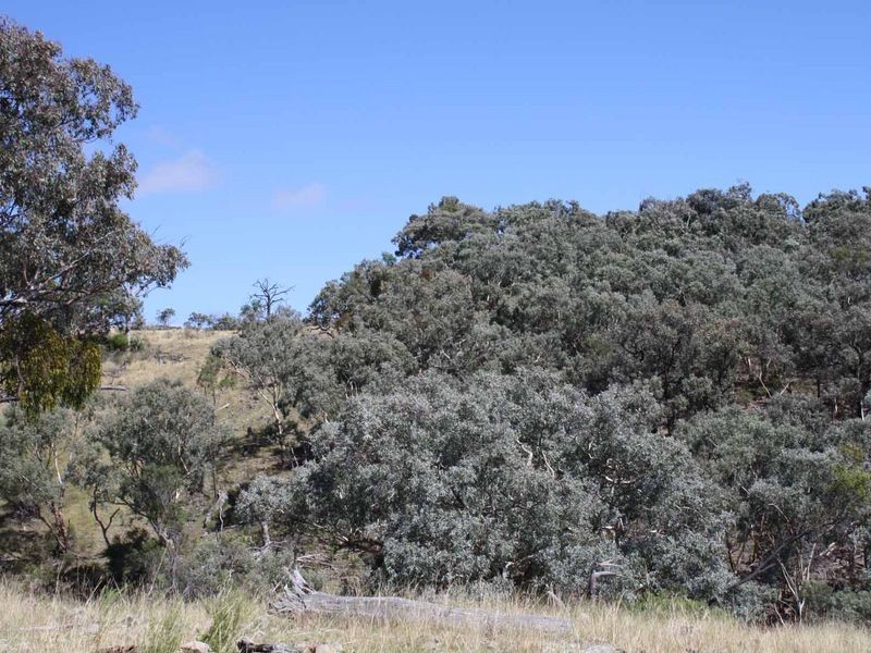 19/702965 Gulf Road, Emmaville NSW 2371