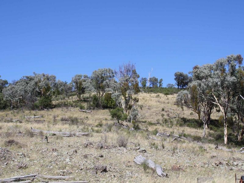 19/702965 Gulf Road, Emmaville NSW 2371