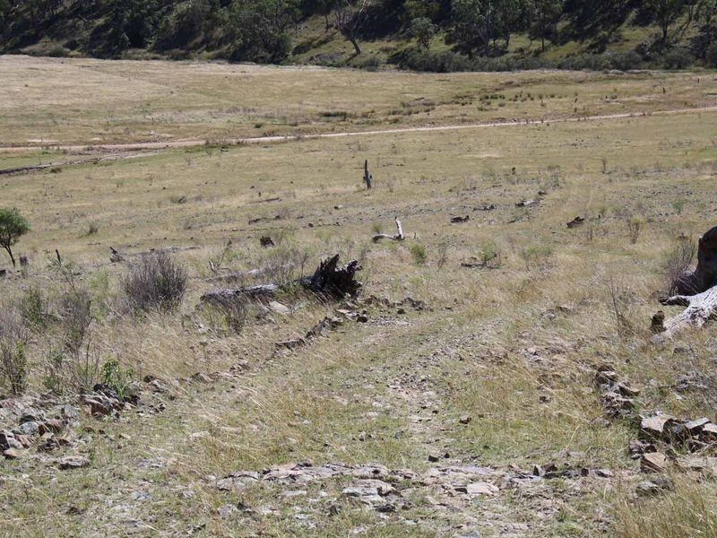 19/702965 Gulf Road, Emmaville NSW 2371