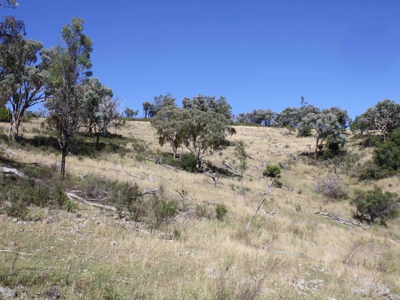 19/702965 Gulf Road, Emmaville NSW 2371