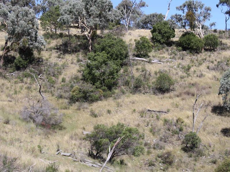 19/702965 Gulf Road, Emmaville NSW 2371