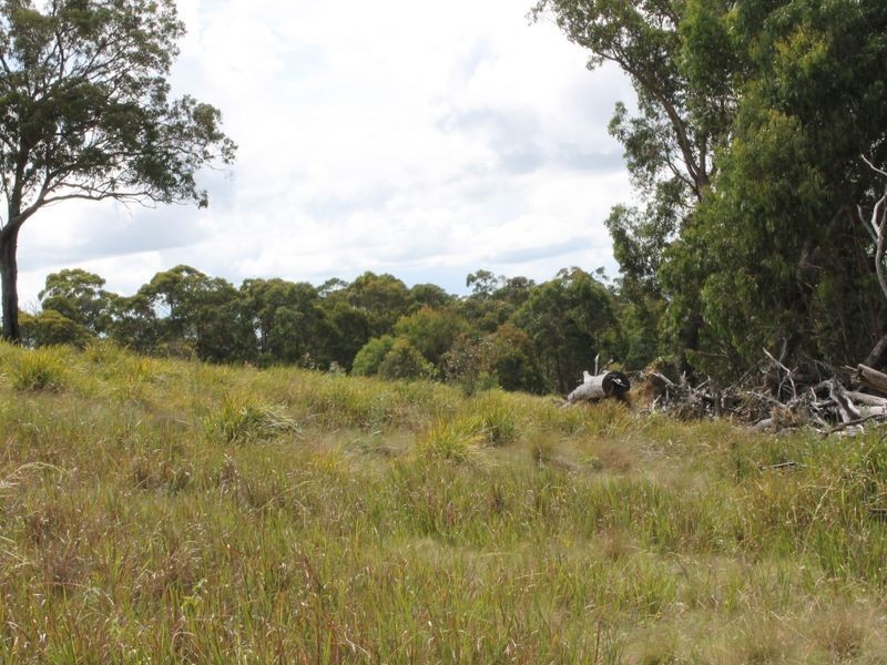 114 Sunset Rd, Glen Innes NSW 2370
