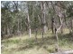 114 Sunset Rd, Glen Innes NSW 2370