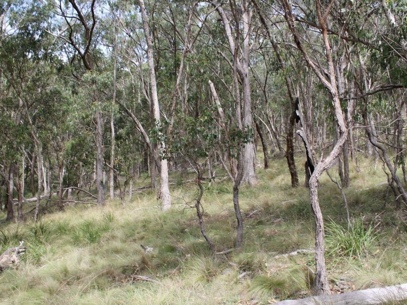 114 Sunset Rd, Glen Innes NSW 2370