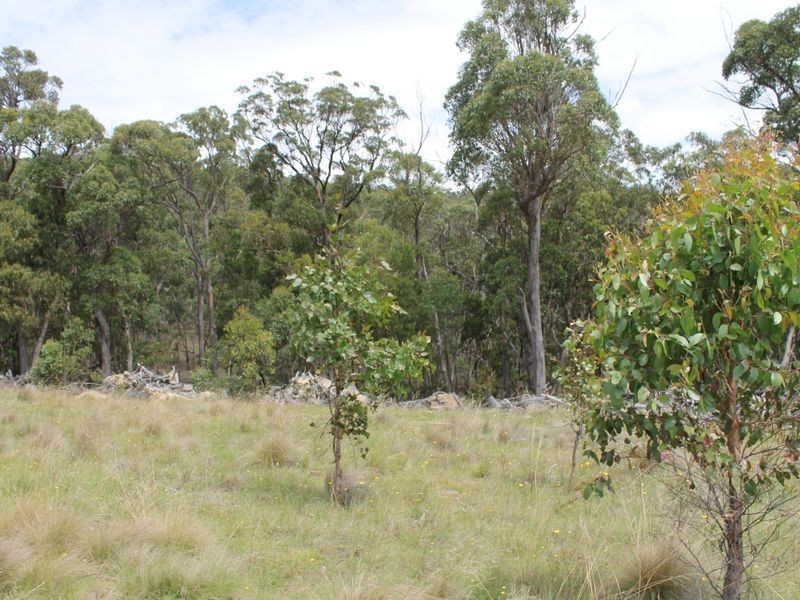 114 Sunset Rd, Glen Innes NSW 2370
