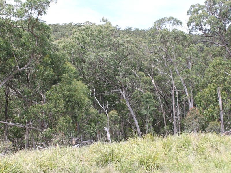 114 Sunset Rd, Glen Innes NSW 2370