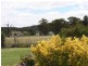30 Park Street, Emmaville NSW 2371