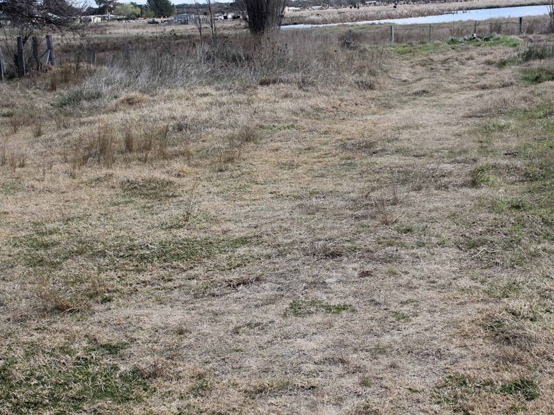 111 Moore Street, Emmaville NSW 2371