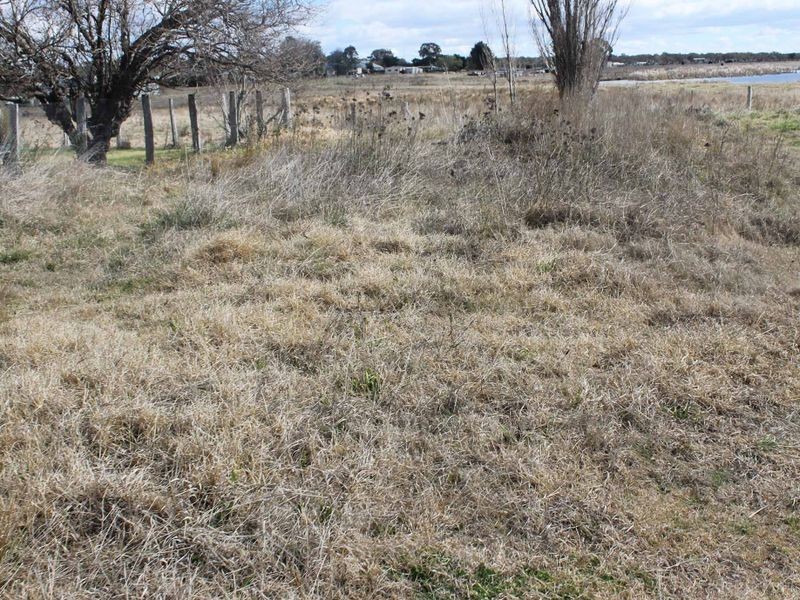 111 Moore Street, Emmaville NSW 2371